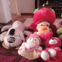 عروسک ، نو ،|اسباببازی بچه|کرج, اصفهانیها|دیوار