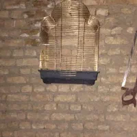 قفس کاسکویی