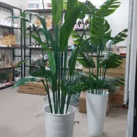 گل مصنوعی بلند|گل مصنوعی|ورامین, ورامین|دیوار