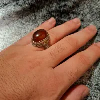 فقط دونه ای 400