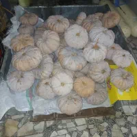 کدو محلی ضیابر