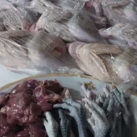 کشتار مرغ وخروس محلی اصل وکاملان ارگانیک