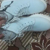 کفش|کیف، کفش، کمربند|مشهد, سجادیه|دیوار