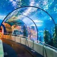 تور مخصوص بانوان