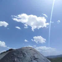 پکیچ ایساتیس آکبند درون کارتن