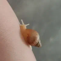 جست جو کلاس اموزشی