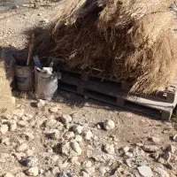 جارو فروشی|لوازم نظافت|گوآور, |دیوار