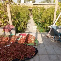 خانه باغ جاده کاشان|فروش خانه و ویلا|قنوات, |دیوار