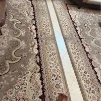 فرش|فرش|کاشان, باغ فین|دیوار