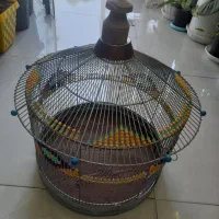 قفس طرقه قفس دست بافت سهره|لوازم جانبی حیوانات|فردیس, ثابتی|دیوار