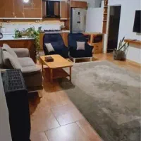 آپارتمان تک واحدی/ اسپیلت نصب/ نقاشی شده/ گلستان۴۵