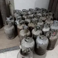 پیکنیک پر کنی به صورت تمام وقت در گلبهار