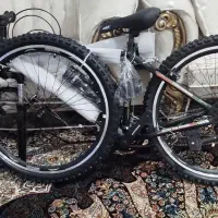 دوچرخه ۲۶ چیاوا مدل اکو