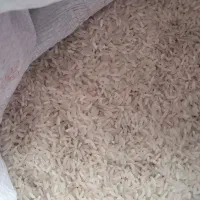 برنج|خوردنی و آشامیدنی|بندر گناوه, |دیوار