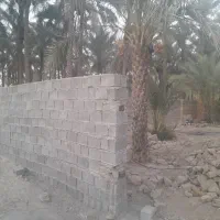 ۲۶۰متر زمین دیوار کشی مافی آباد