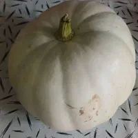 کدوی تازه|خوردنی و آشامیدنی|اصفهان, شیخ اشراق|دیوار