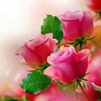 آشپزی برای یک نفر و نظافت