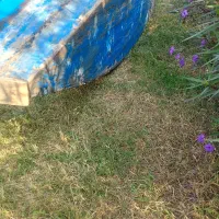 قایق چوبی|قایق و سایر وسایل نقلیه|بندر انزلی, بشمن|دیوار