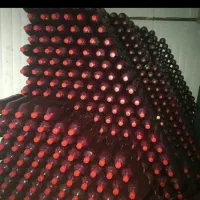 زرشک،آب زرشک و زعفران پدربزرگ|عمدهفروشی|مشهد, شیرودی|دیوار