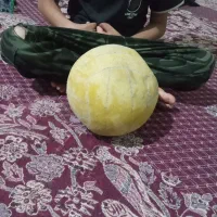 فروش توپ فوری