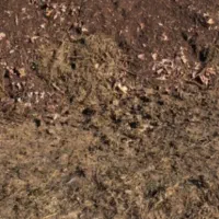 فروش کود گوسفندی ارگانیک وبدون  بذر علف هرز