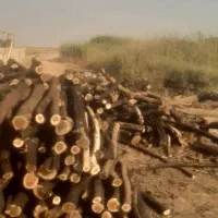 کارگر با اره موتوری