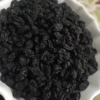 حراج بانازلترین قیمت، مویزکشمش افتابی وتیزابی ۱۴۰۴