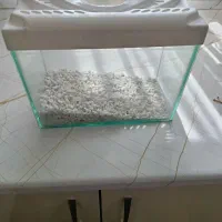 اگواریوم