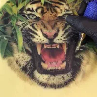 تولید محتوا|استخدام هنری و رسانه|فردیس, شهرک ارم|دیوار