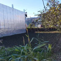 زمین تجاری مسکونی و مغازه درلیسار تالش