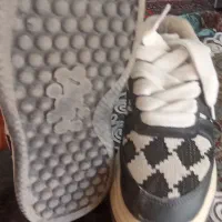 دوجفت کفش ی جفت زنانه ی جفت مردانه|کیف، کفش، کمربند|بیرجند, |دیوار