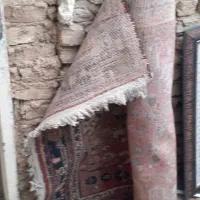 کنار فرش عتیقه|فرش|ملایر, |دیوار