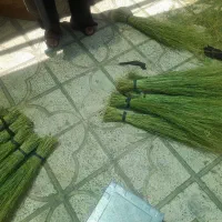 جارو دستی