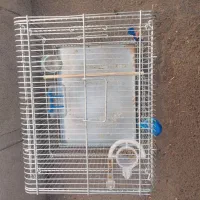 قفس سهره یا سقا|لوازم جانبی حیوانات|کرمان, |دیوار