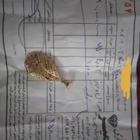 گردنبند بدون اجرت ۲٪
