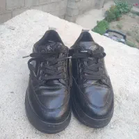 کفش در حدنو