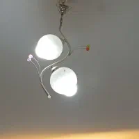لوستر ۲ شاخه