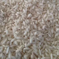 برنج هاشمی قلوه دار با عطر پخت خوب عالی