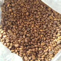 قهوه کافه اسپرسو|کافی‌شاپ و رستوران|یزد, |دیوار