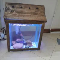 اکواریوم|ماهیگیری|مشهد, سید رضی|دیوار