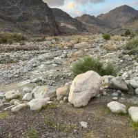 زمین