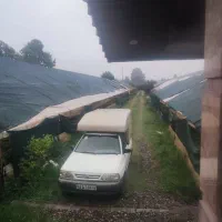 ۳۵۰۰متر زمین با ۱۱۰متر ویلا و۲۲۰۰متر گلخانه|فروش خانه و ویلا|سلمان‌شهر, |دیوار