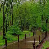تور شمال ۴روزه افرود