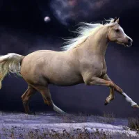 استخدام کارگر ساده