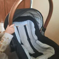 کریر دیپلمات دلیجان