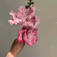 گل پیپ پاک کنی پنج پر صورتی