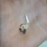 مهره|جواهرات|شیروان (خراسان), |دیوار