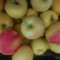 سیب زرد دهبالا|خوردنی و آشامیدنی|یزد, |دیوار