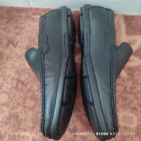 کفش مجلسی|کیف، کفش، کمربند|لار, |دیوار