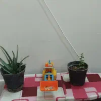 اسباباب بازی در حدنو|اسباب‌‌بازی|قم, طلاب غیر ایرانی|دیوار